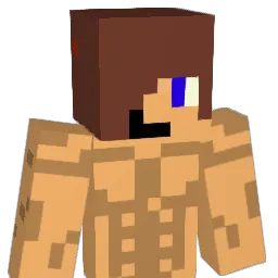 ccnt1234 Minecraft avatar bust