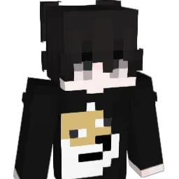 ccop1ng Minecraft avatar bust