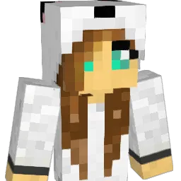 ccsurfer12 Minecraft avatar bust