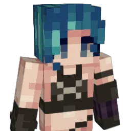 cdsnipz04 Minecraft avatar bust