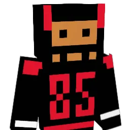 cdvs Minecraft avatar bust