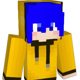 cdy0420 Minecraft avatar bust
