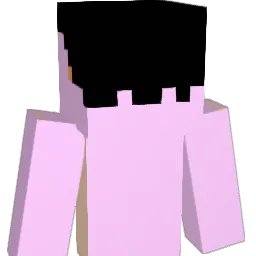 ceh1216 Minecraft avatar bust