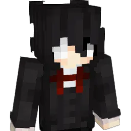 certificais Minecraft avatar bust