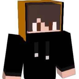 cesttropinjuste Minecraft avatar bust