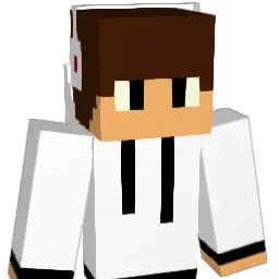 cgrimm1023 Minecraft avatar bust