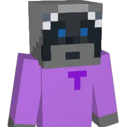 ch2anil's Minecraft skin