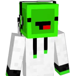 chamm_ Minecraft avatar bust