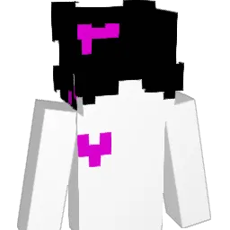 chanky__ Minecraft avatar bust