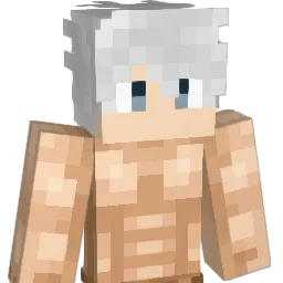chapadox_x Minecraft avatar bust