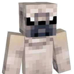 chapati_ Minecraft avatar bust