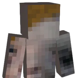 charcharpants's Minecraft skin
