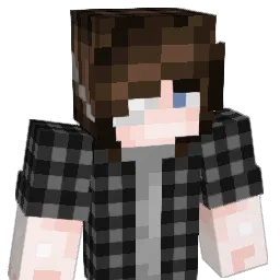 charley7d6 Minecraft avatar bust