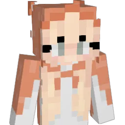 charthecar1993 Minecraft avatar bust