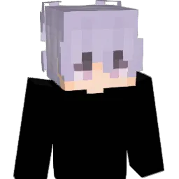chase300 Minecraft avatar bust