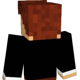 chasek1324 Minecraft avatar bust