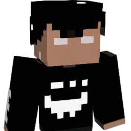checheelpro69's Minecraft skin