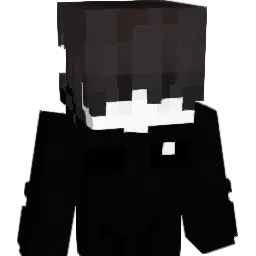 checkssv Minecraft avatar bust
