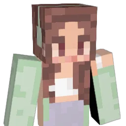 cheetoe11 Minecraft avatar bust
