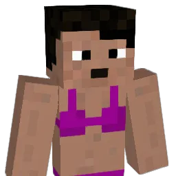 chefur420 Minecraft avatar bust