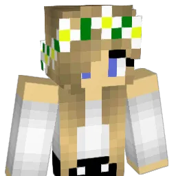 chem11 Minecraft avatar bust