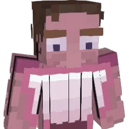 cherrytictacs Minecraft avatar bust
