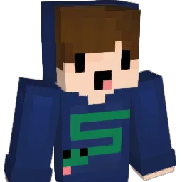 chester216 Minecraft avatar bust