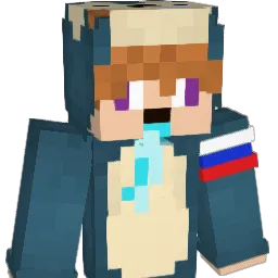 chewbacca0503 Minecraft avatar bust
