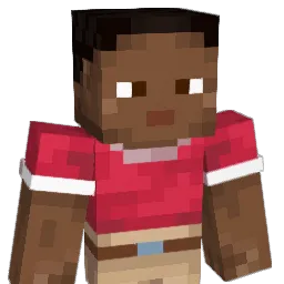 chicken13