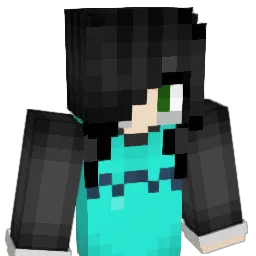 chinbrinha_ Minecraft avatar bust
