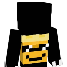 chips_t