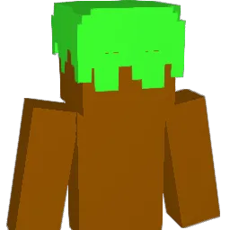choifi Minecraft avatar bust