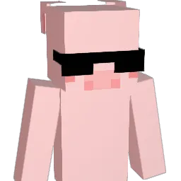 choihym Minecraft avatar bust