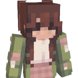 choiminho's Minecraft skin