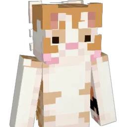 choochoo420 Minecraft avatar bust