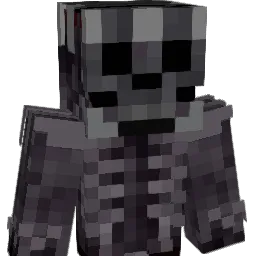 chort67 Minecraft avatar bust