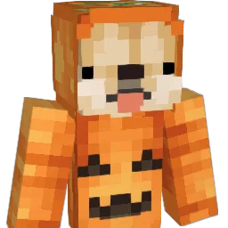 chris529 Minecraft avatar bust