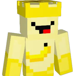 chris84338 Minecraft avatar bust