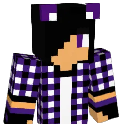 chrissom12 Minecraft avatar bust