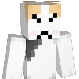 christhefox125 Minecraft avatar bust