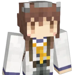 chs1911's Minecraft skin