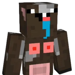 chubbtoes12 Minecraft avatar bust