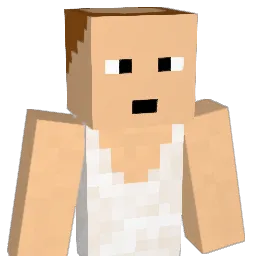 chudy1502 Minecraft avatar bust
