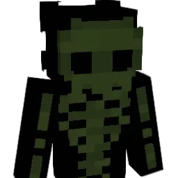 chui22's Minecraft skin