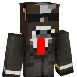 chummer1010 Minecraft avatar bust