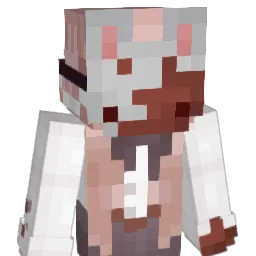 chupji Minecraft avatar bust