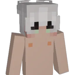 chxsin's Minecraft skin