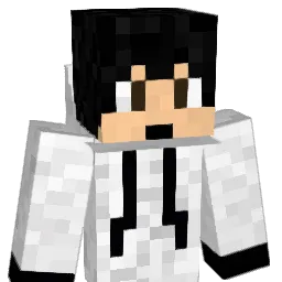chylek89 Minecraft avatar bust