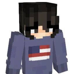 ci_shell Minecraft avatar bust