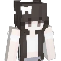 cia988 Minecraft avatar bust